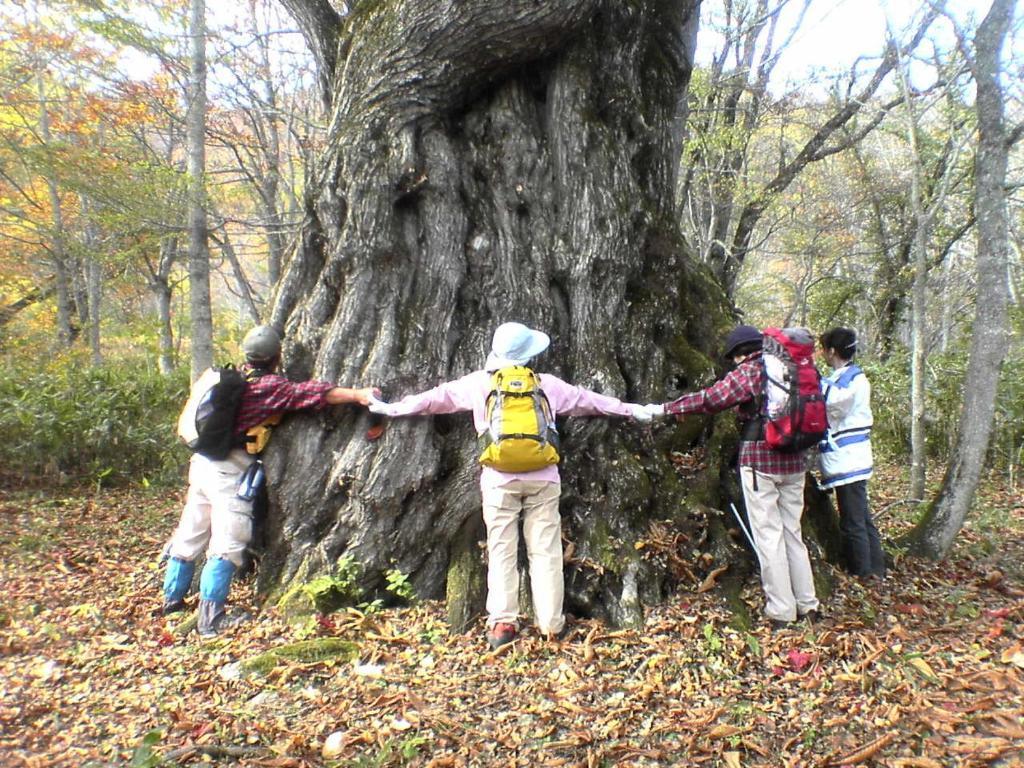 Pension Milky House Shinano  Dış mekan fotoğraf